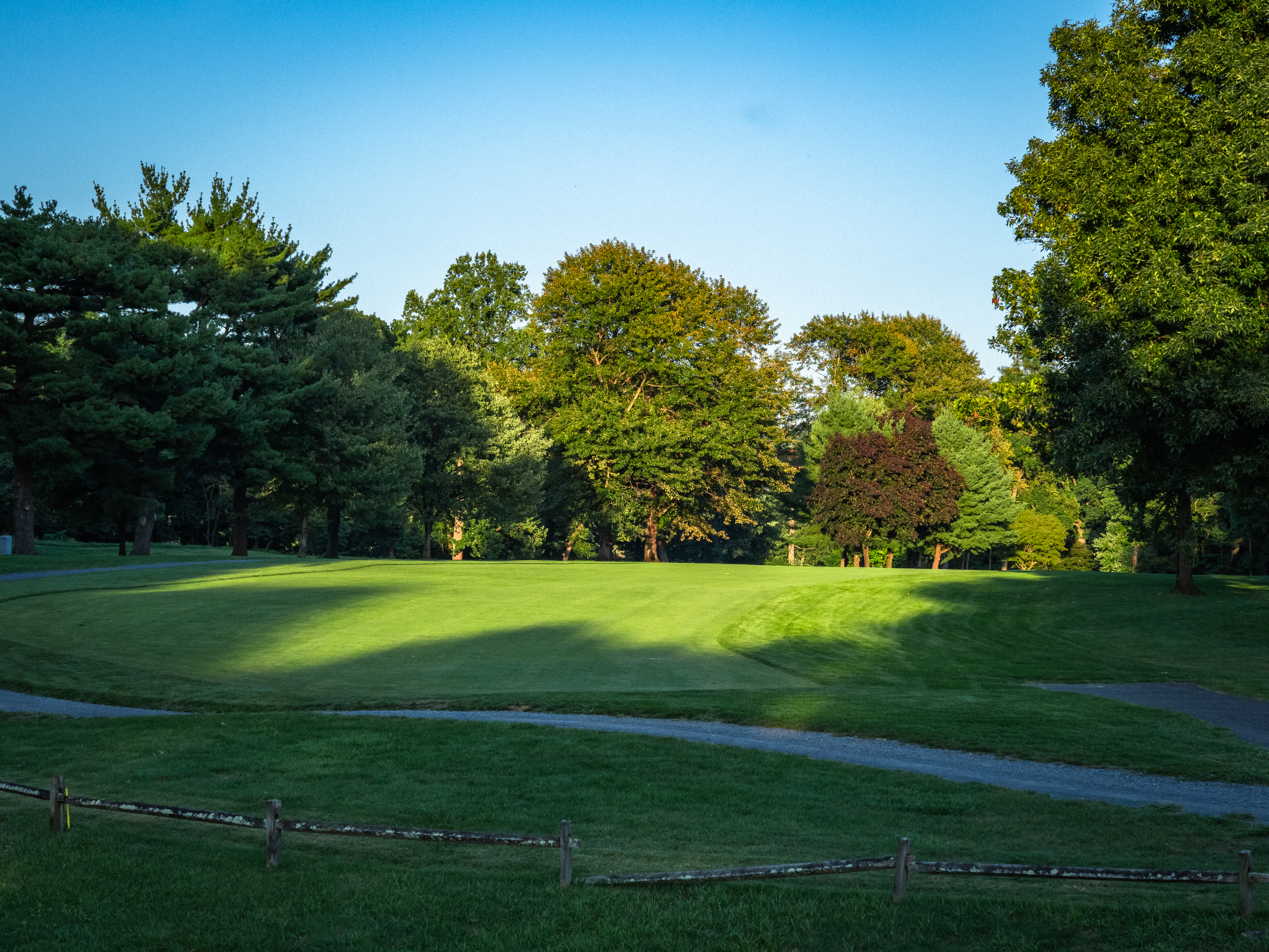 Image of golf ball on tee on grass.